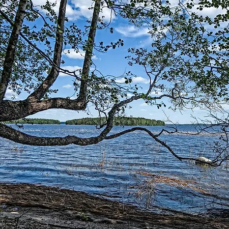 Paapuuri Padasjoki