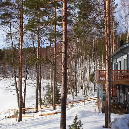 Vila Paapuuri Padasjoki