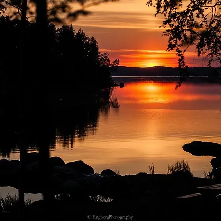 Paapuuri * Padasjoki